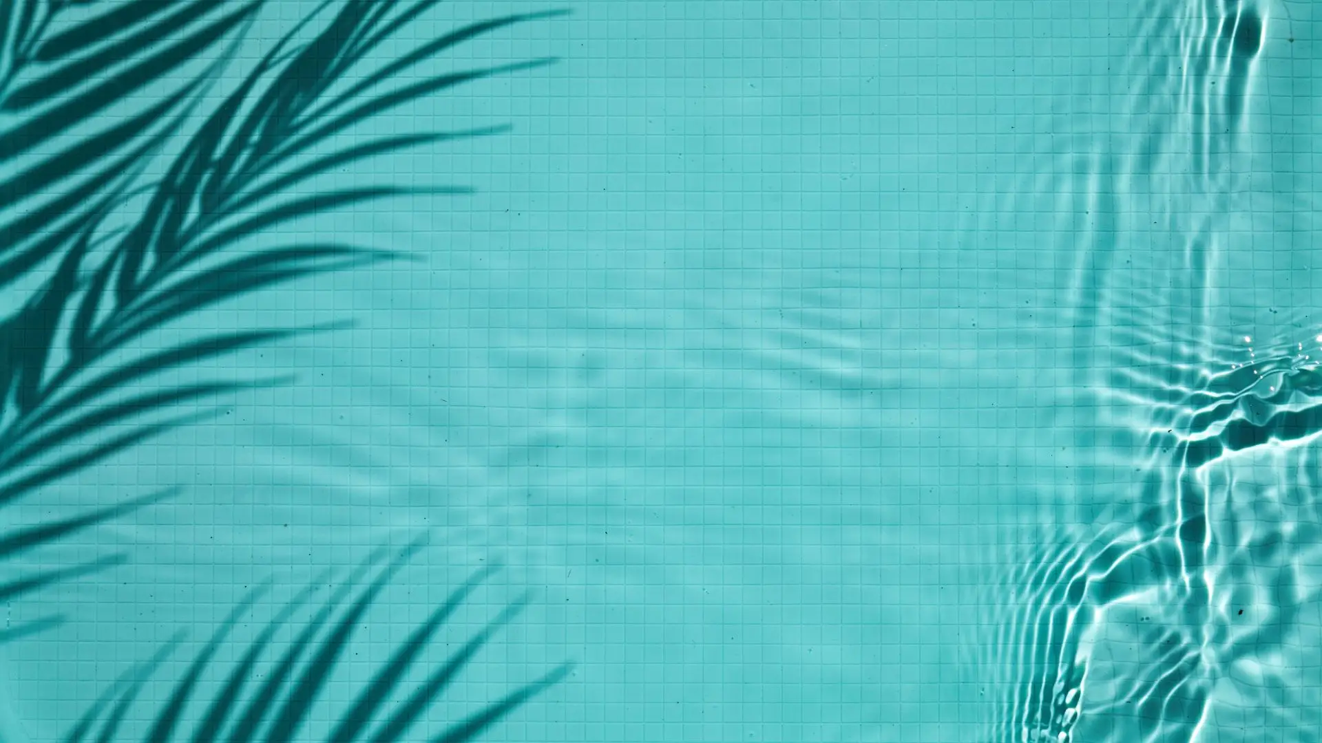 The Pool