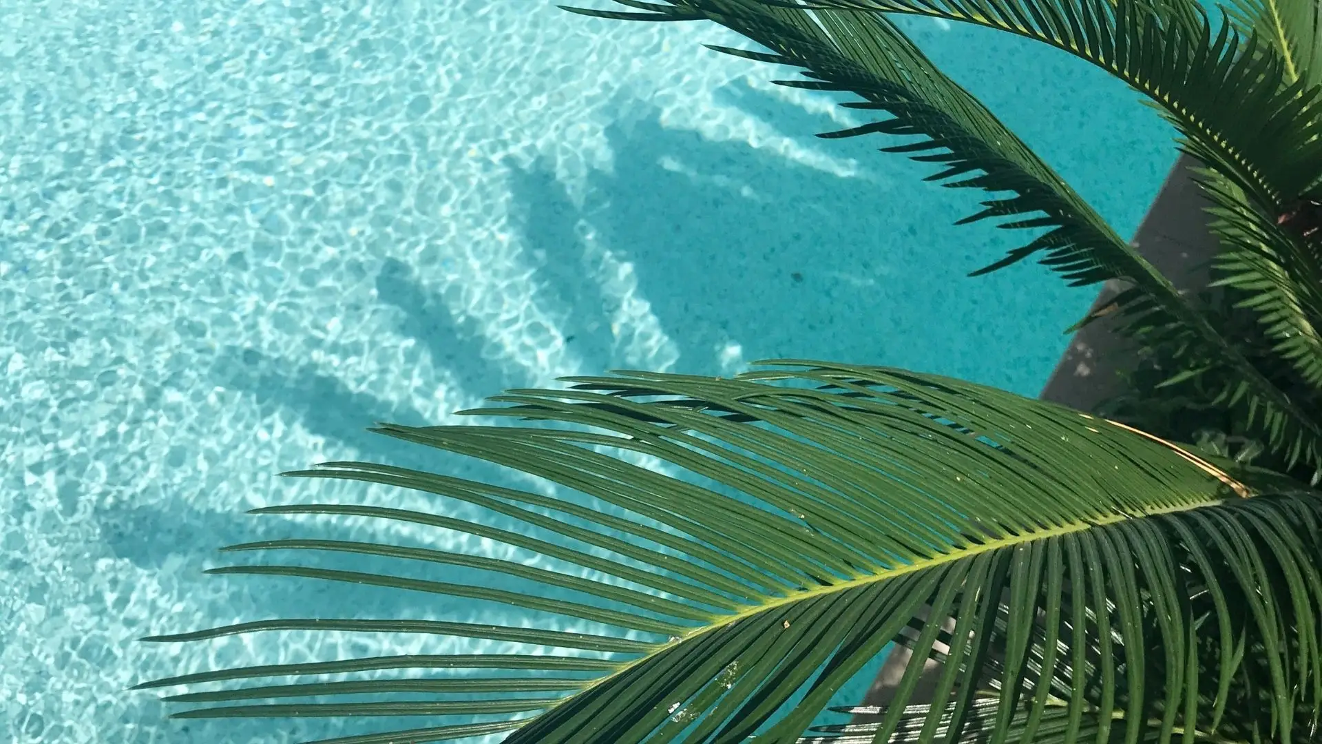 pool aqua resort